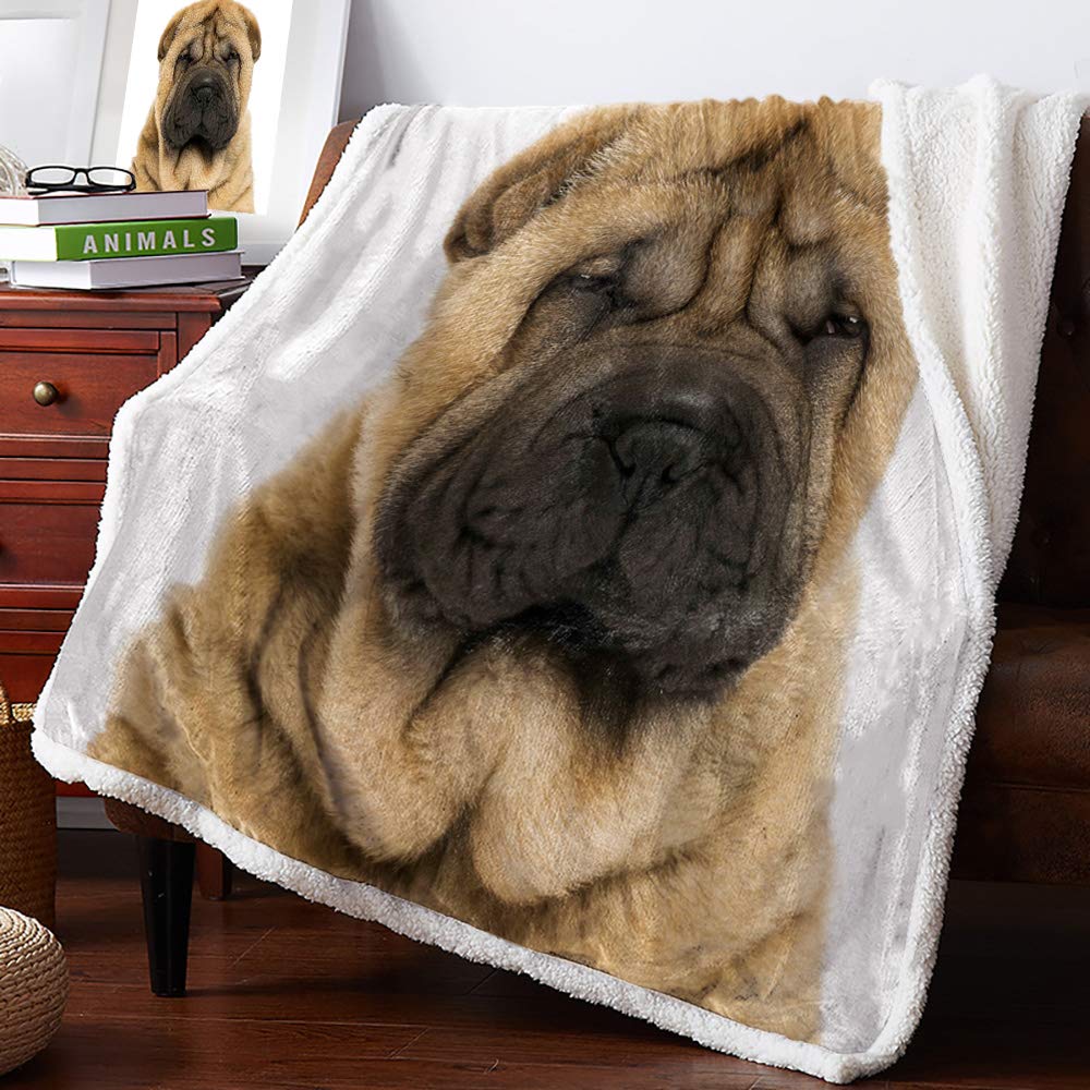 Sherpa Fleece Throw Blanket - Ultra Soft Microfiber Plush Blanket with Squinting Shar Pei Design for Couch, Bed & Sofa (59