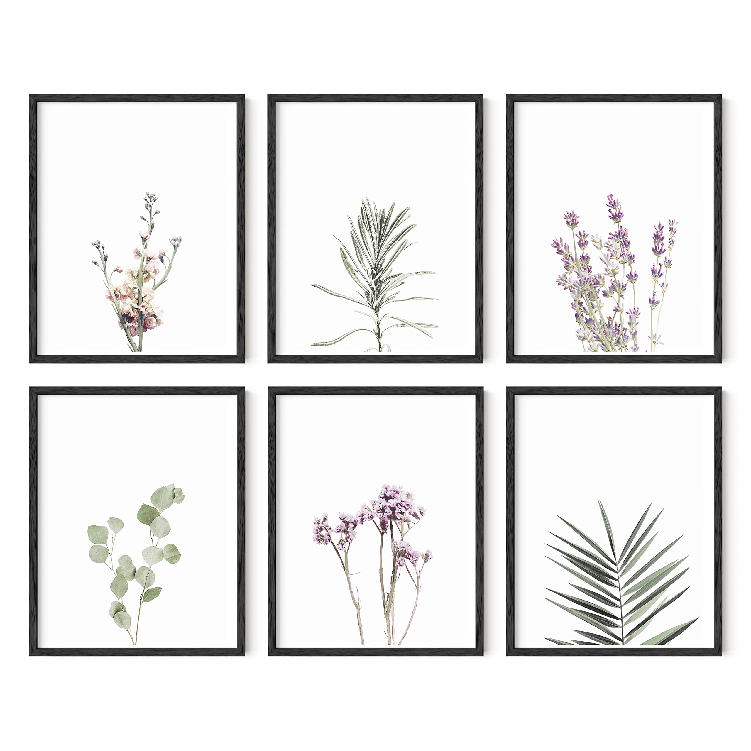 HAUS AND HUES Set of 6 Floral & Botanical Prints - 11x14 Black Framed Wall Art | Wildflower Posters, Plant Decor for Living Room, Bedroom & Office