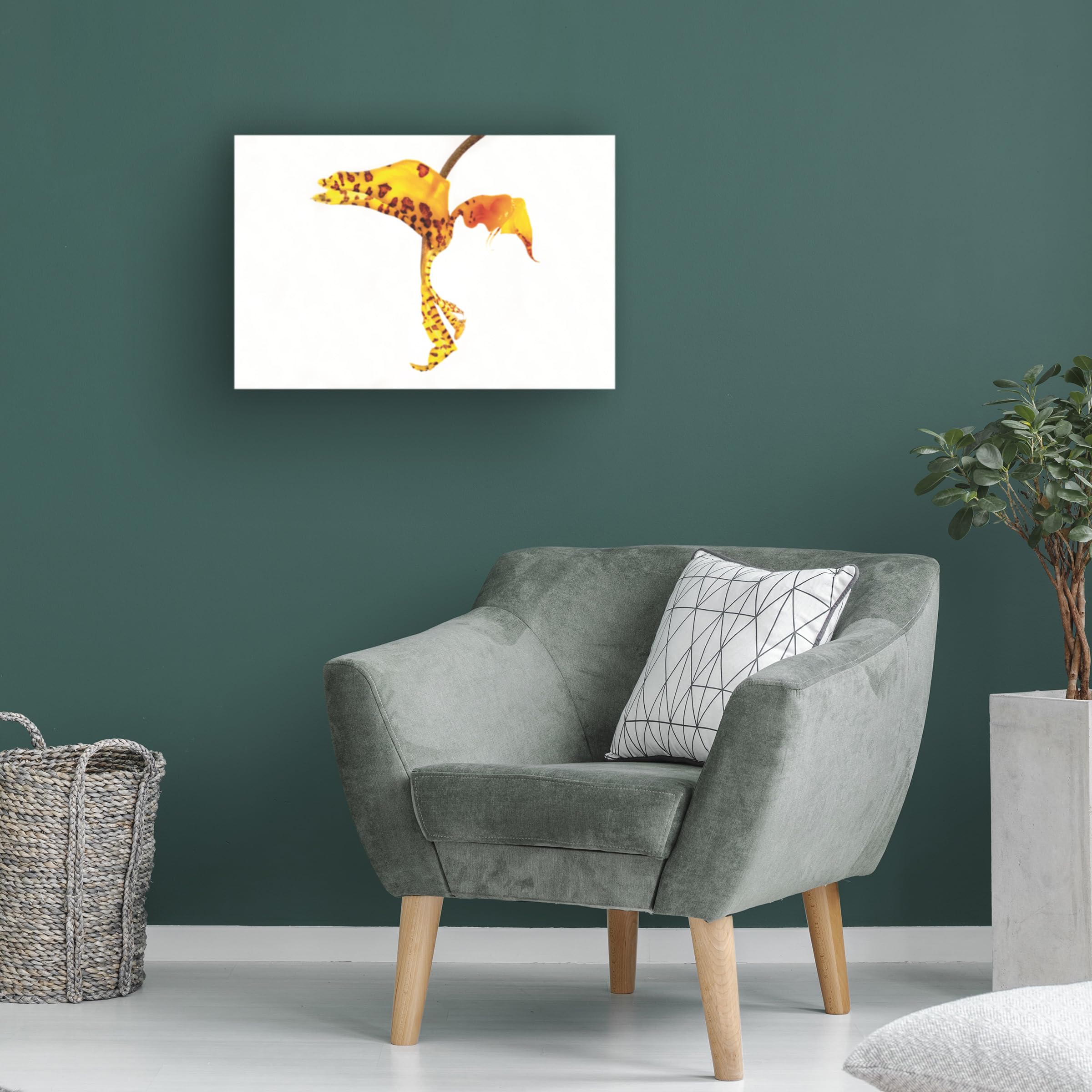 Exotic Yellow Orchid Canvas Wall Art Print by Kurt Shaffer - Tropical Floral Photography for Home & Office Decor - Perfect for Living Room, Bedroom, or Gift