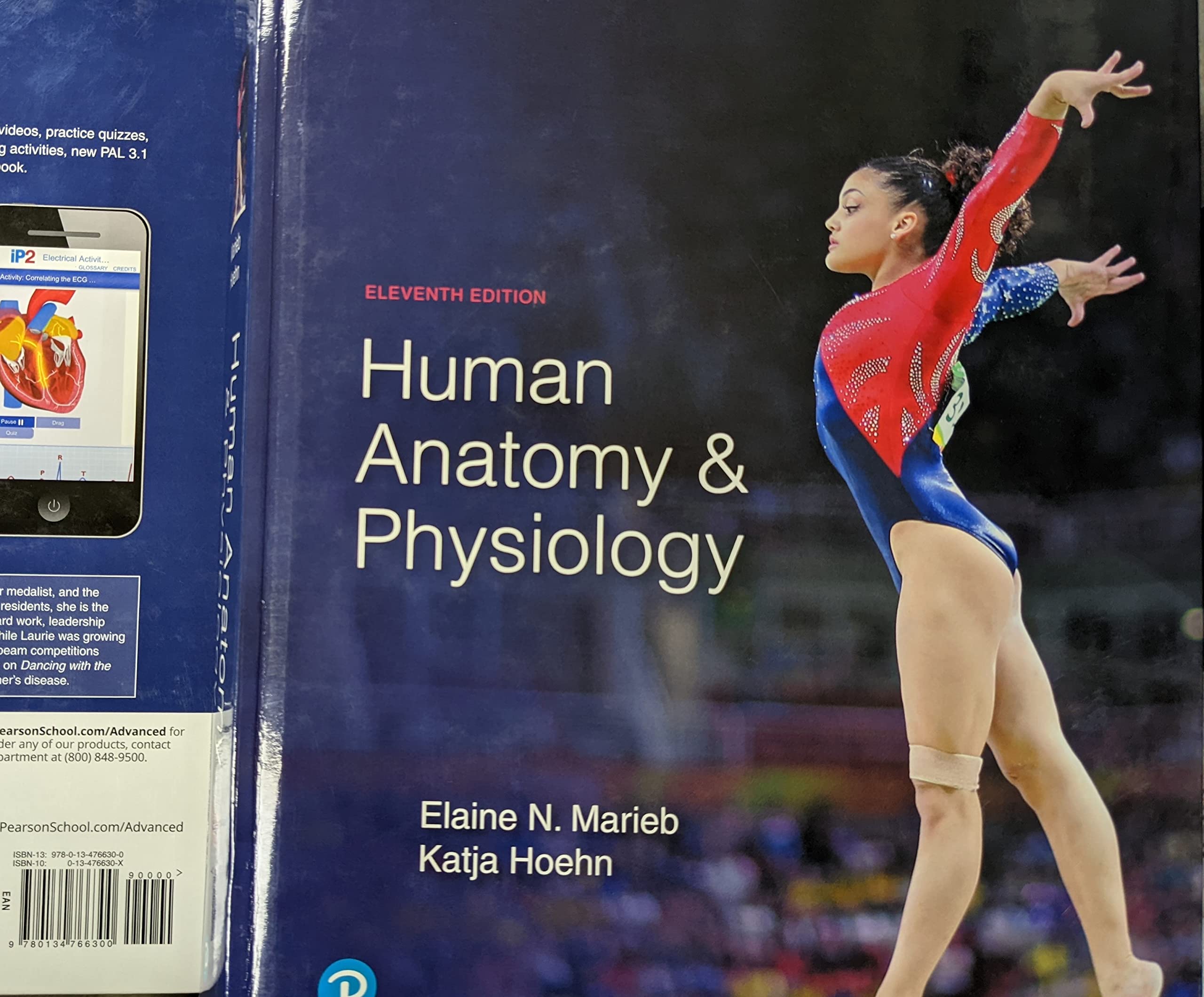 Human Anatomy and Physiology 11th Edition (2019) - Comprehensive Textbook for Medical Students & Healthcare Professionals | Ideal for Classroom Study & Exam Prep