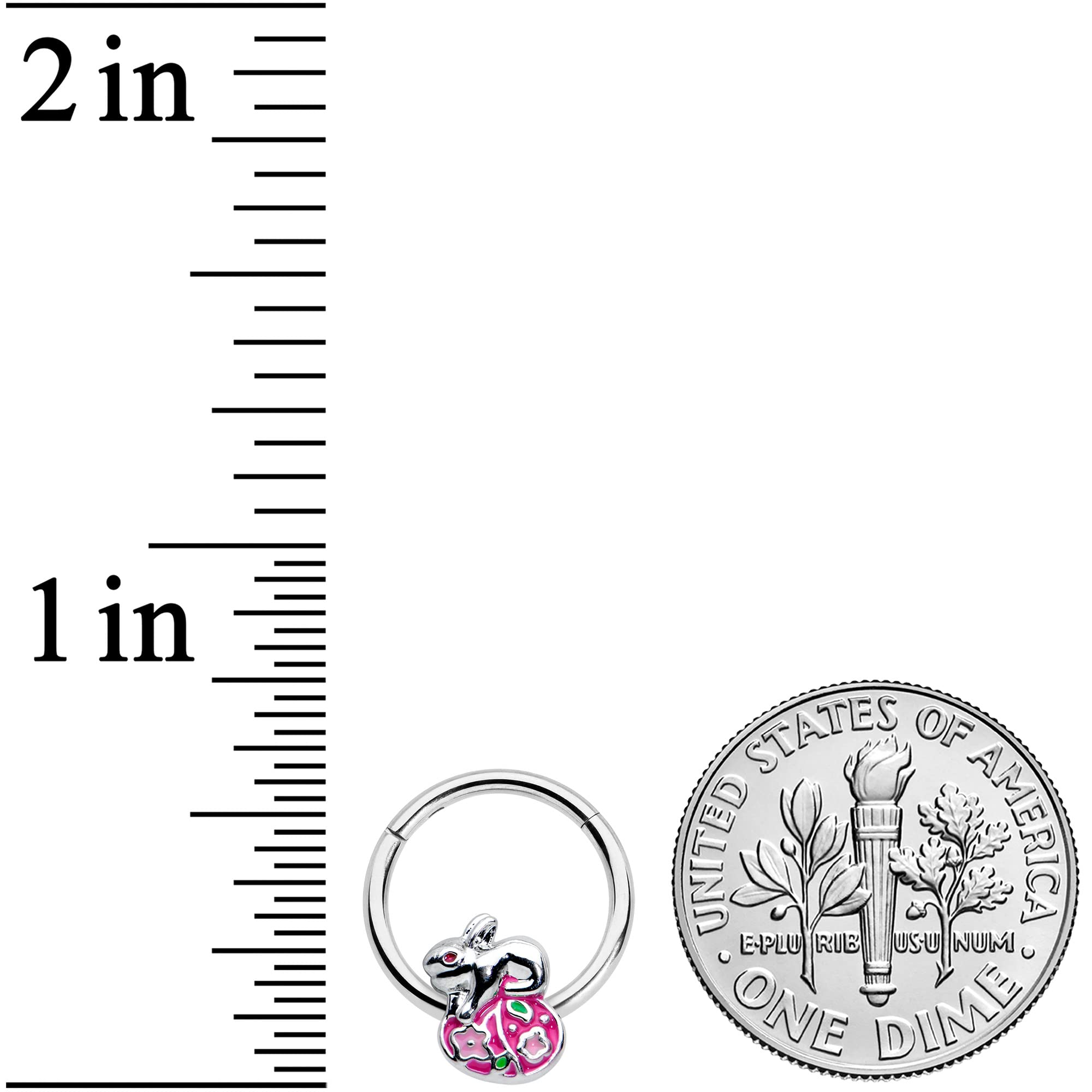 16G Steel Hinged Segment Ring - Seamless Cartilage Hoop for Women | Body Candy Nipple, Nose & Ear Piercing Jewelry | Perfect for Festive Occasions, Bunny Lovers & Everyday Wear