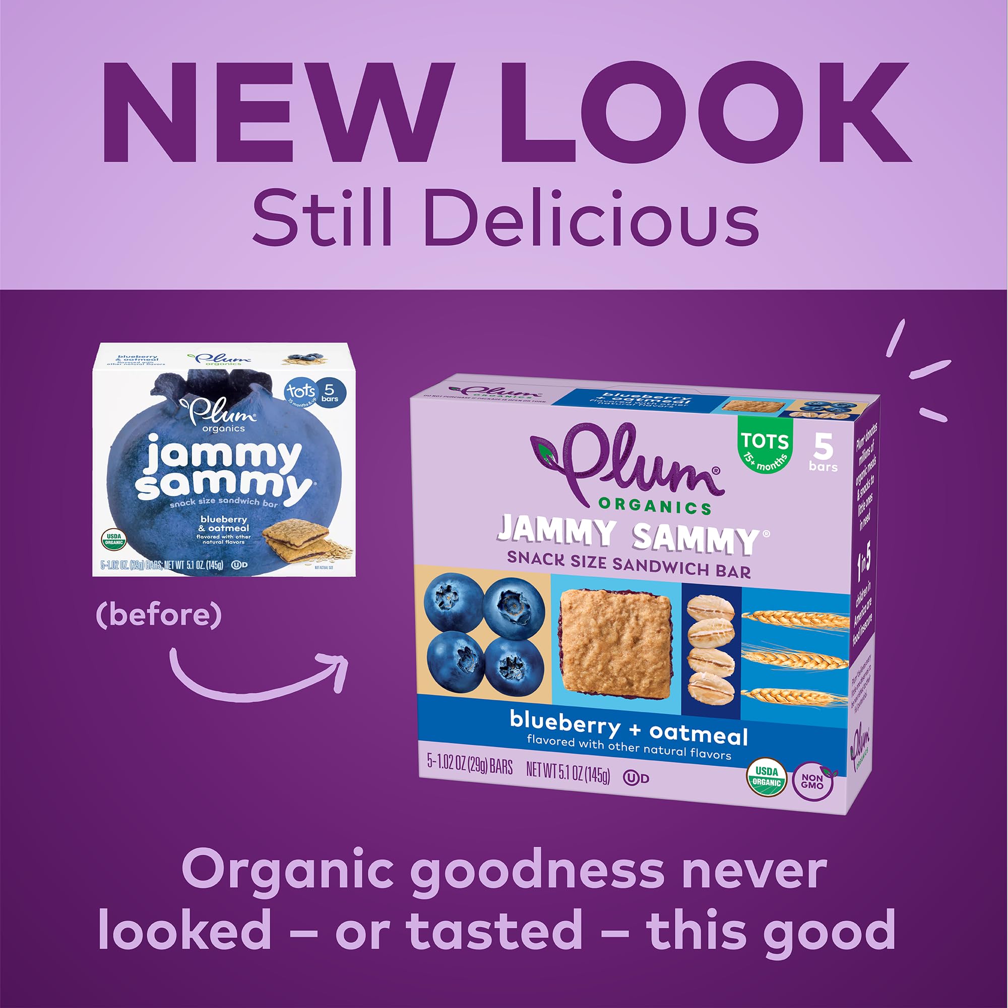 Organic Blueberry Oatmeal Toddler Snack Bars - Pack of 5 for On-the-Go Nutrition