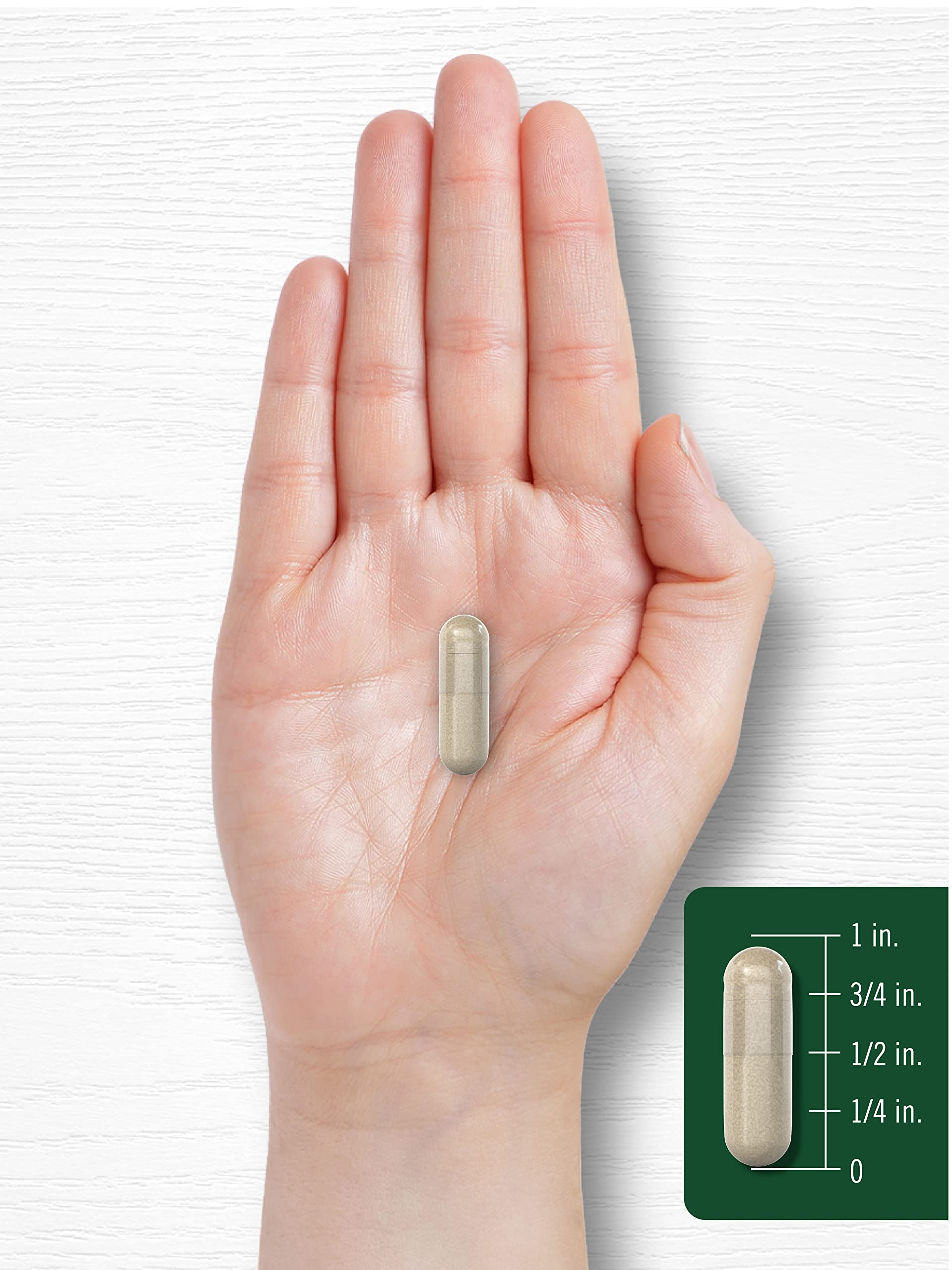 Carlyle Silica Supplement Capsules 200 Count | Natural Horsetail Extract | Non-GMO, Gluten Free | Supports Hair, Skin & Nail Health for Women & Men