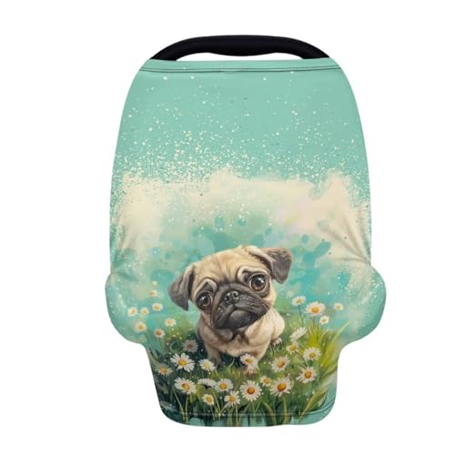 Pug