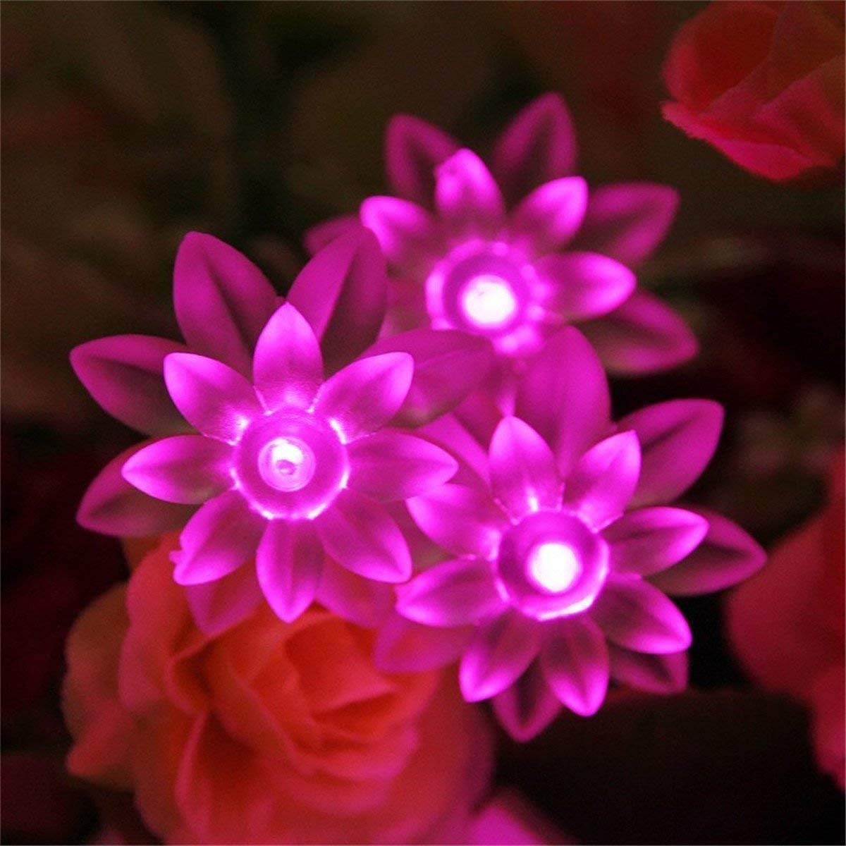 Solar Powered LED Lotus Flower String Lights - 21ft 50 LED Waterproof Outdoor Fairy Lights for Garden, Patio, Wedding & Christmas Decor (Pink) | Perfect for Backyard Parties, Holiday Lighting & Romantic Ambiance