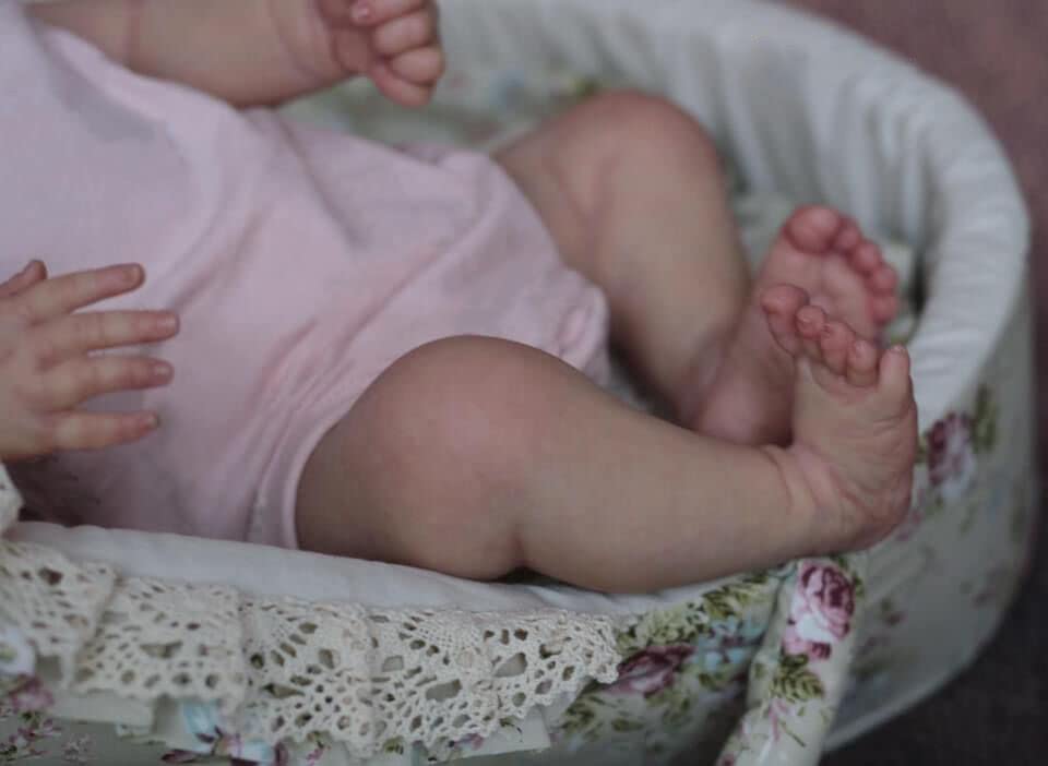 19 Inch Realistic Reborn Baby Doll - Lifelike Silicone Newborn Girl with Weighted Soft Cloth Body & Rooted Hair | Handmade Collectible Doll for Nursery Decor, Photography Props, Gift Giving and Therapy Use