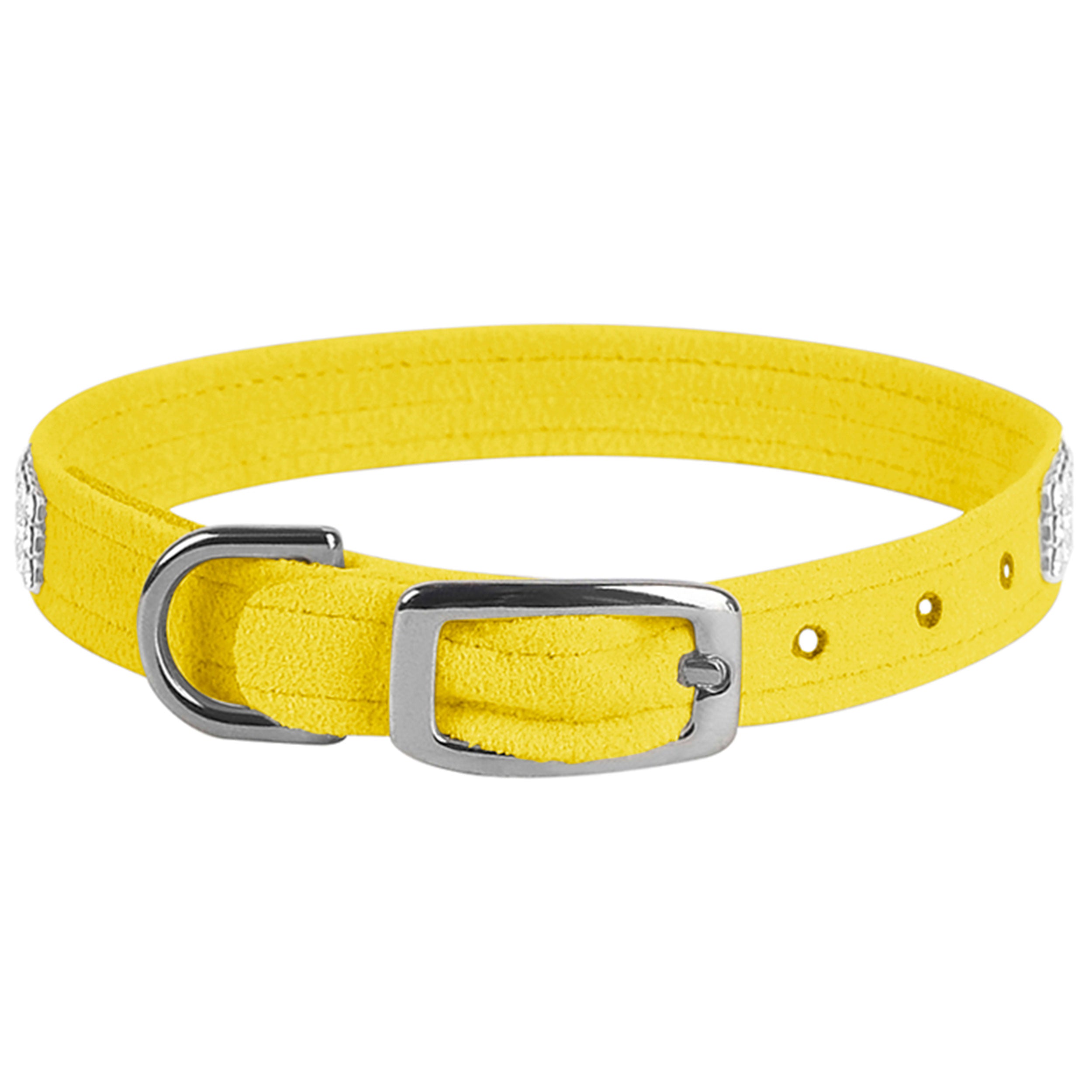 3 Row Giltmore Dog Collar - Durable Nylon Pet Collar with Metal Buckle for Small Medium Large Dogs - Perfect for Walking, Training & Outdoor Adventures