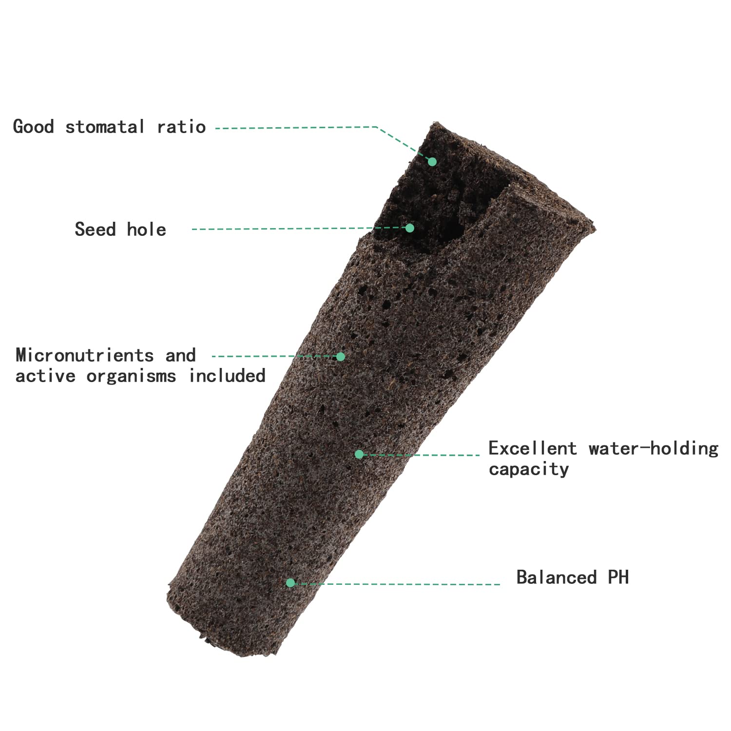 50pcs Hydroponic Grow Sponges - Seed Root Growth Sponges for Aerogarden & Indoor Gardening, Perfect for Hydroponics System, Plant Starter, and Herb Growing at Home