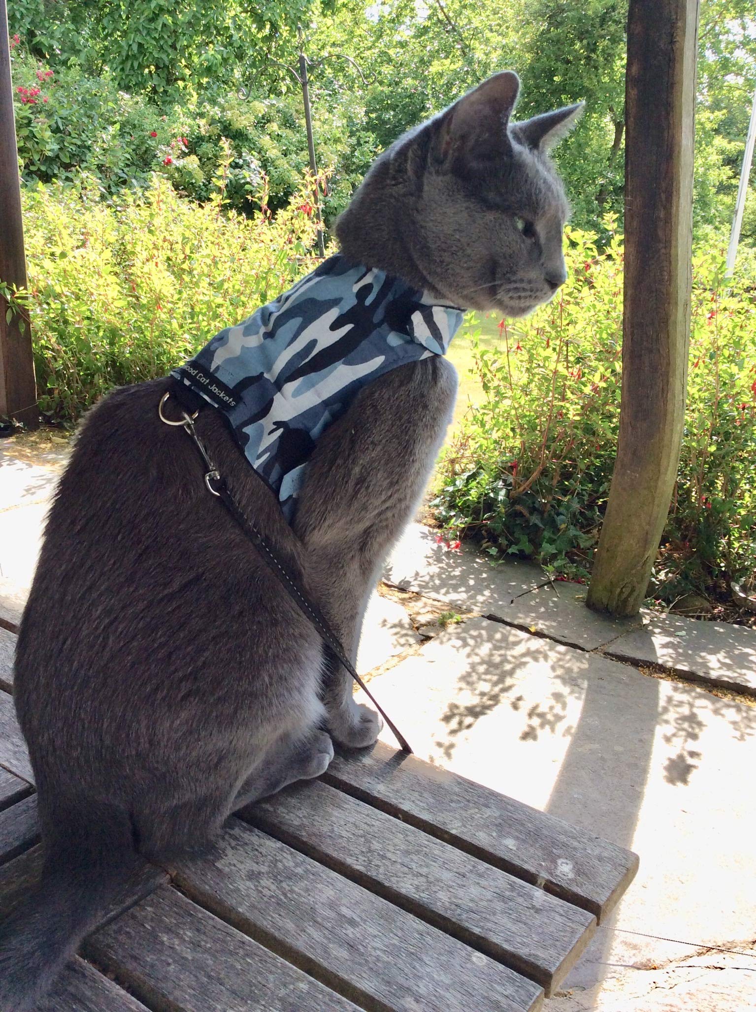 Mynwood Blue Combat Cat Jacket & Harness for Adult Cats - Escape Proof, Durable Outdoor Walking Gear for Adventurous Felines