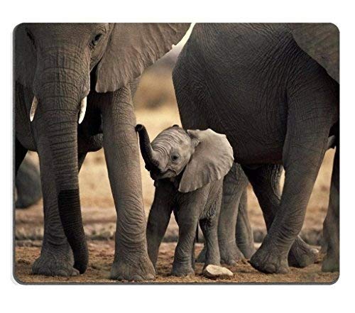 Premium Elephant Wildlife Custom Mouse Pad - Large Rectangle Gaming & Office Desk Mat with Non-Slip Base - Perfect for Computer Work, Gaming Setups & Home Office Decor (Africa Animal Design)