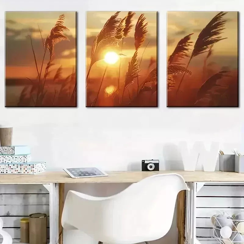 3-Piece Nature Grasses & Sunset View Wall Art Set - 50x70cm Framed Canvas Prints | High Quality Australian Made Wall Decor | Perfect for Living Room, Bedroom & Office Decor