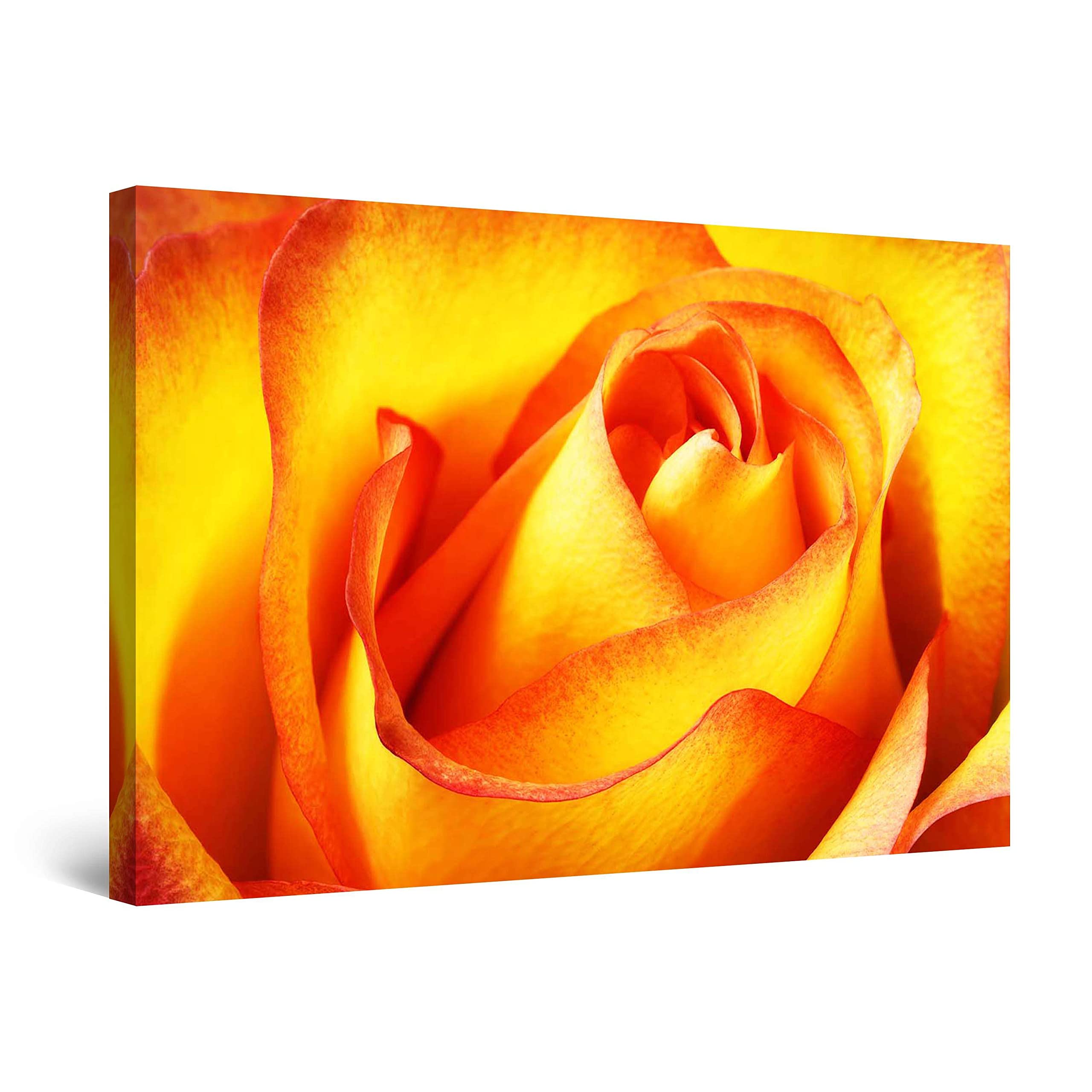 Red Orange Macro Rose Petals Flowers Canvas Wall Art - Stretched & Framed Modern Painting Print (24