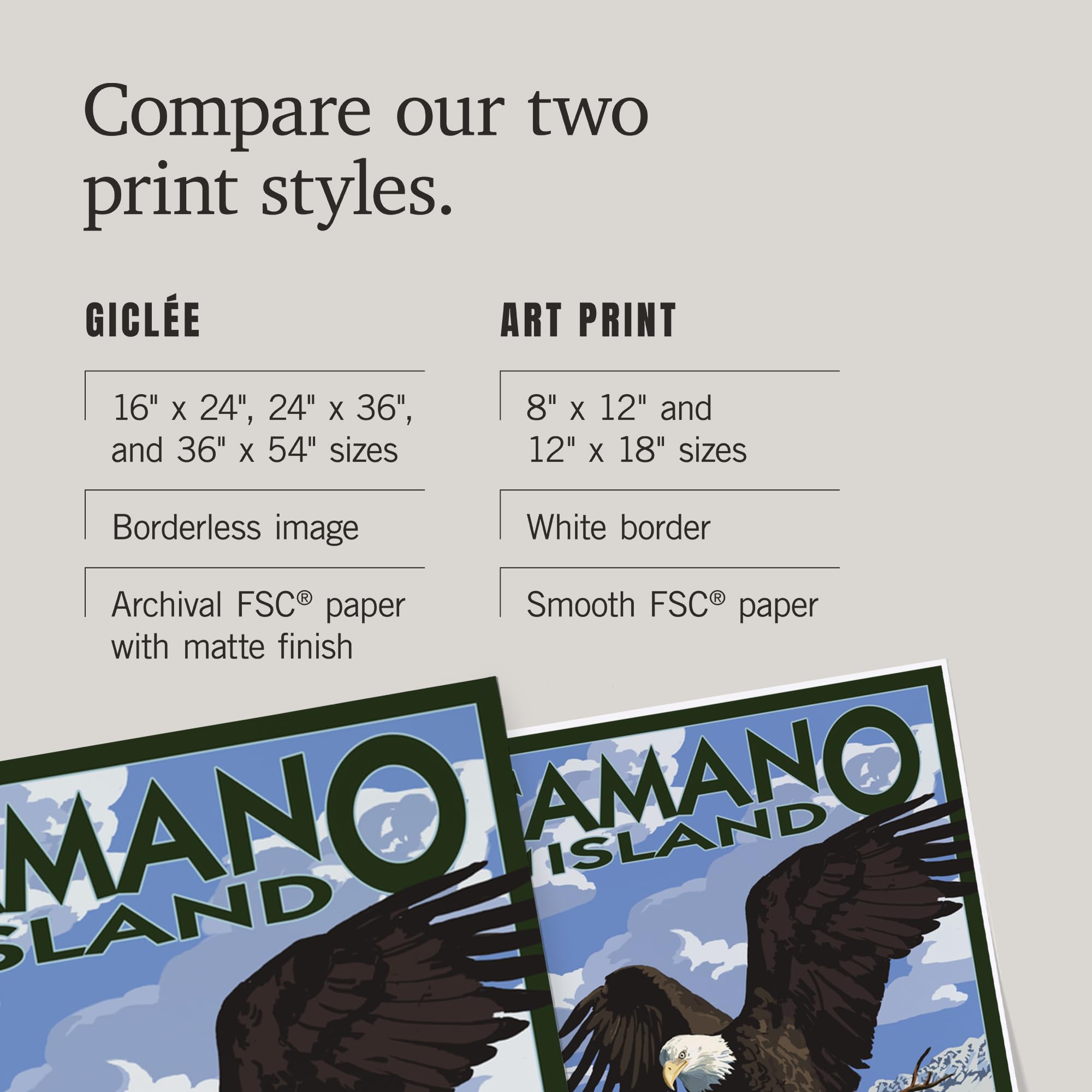 Lantern Press 16x24 Inch Giclee Print - Camano Island Washington Bald Eagle and Chicks Wall Art - Perfect for Home Decor, Office & Gift Giving