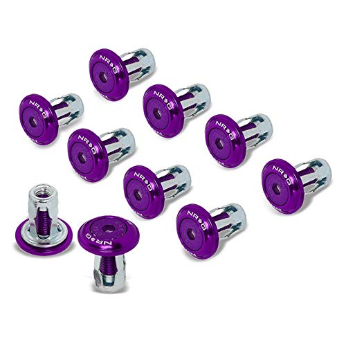 Purple Washer/Silver Bolt