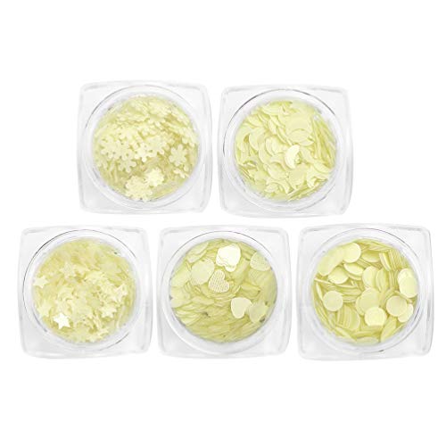 FOMIYES 5 Bottles Luminous Nail Glitter Powder Set - Star Moon Snowflake Sequins for DIY Nail Art, Manicure Decoration, Foil Stickers & Flakes (White) | Perfect for Nail Salons, Home Manicure, Party & Festival Nail Designs
