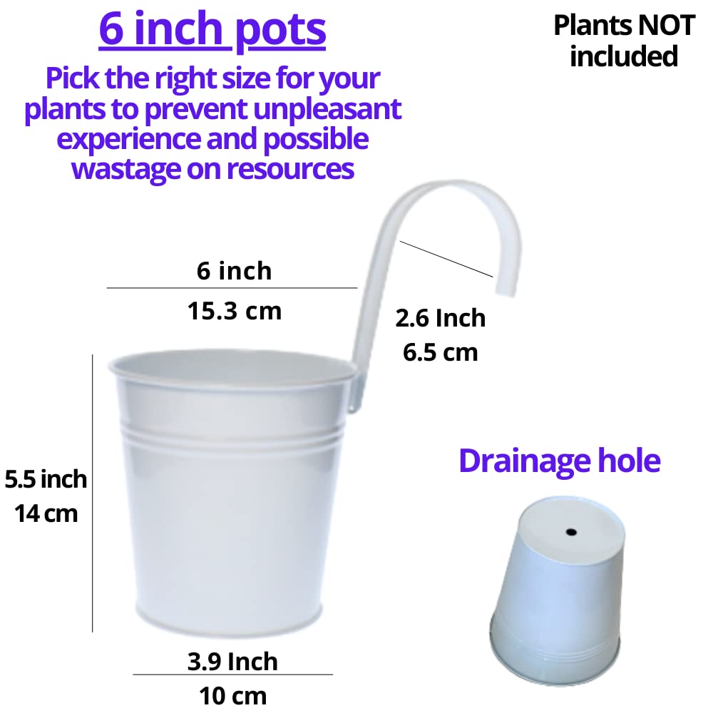 6 Inch White Metal Hanging Flower Pots (10 Pack) + 5-Piece Wooden Plant Holder Set - Vertical Garden Kit for Indoor/Outdoor Decor, Herb Garden, Green Wall Mounting | Perfect for Balcony, Patio, Living Room & Home Gardening