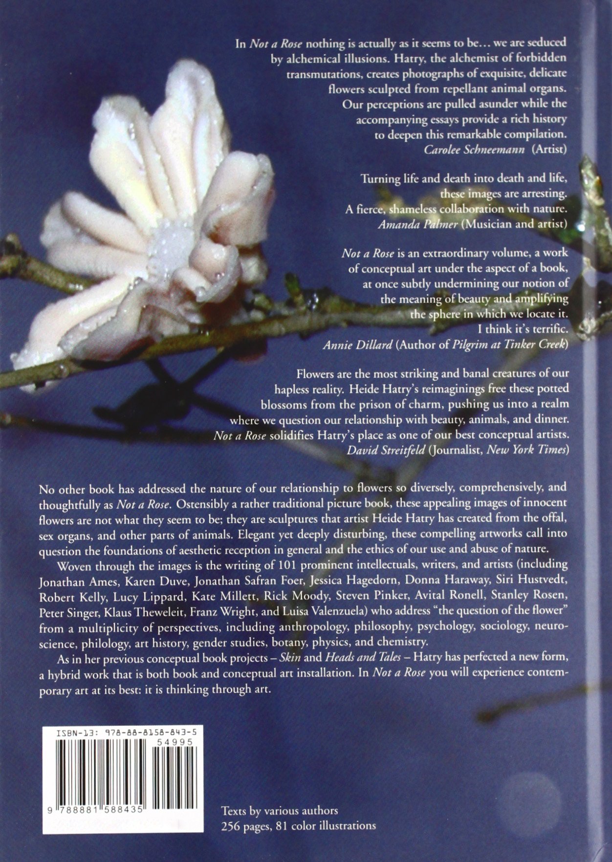 Heide Hatry: Not a Rose - Contemporary Art Book for Collectors | Perfect for Art Lovers, Gallery Displays & Home Decor