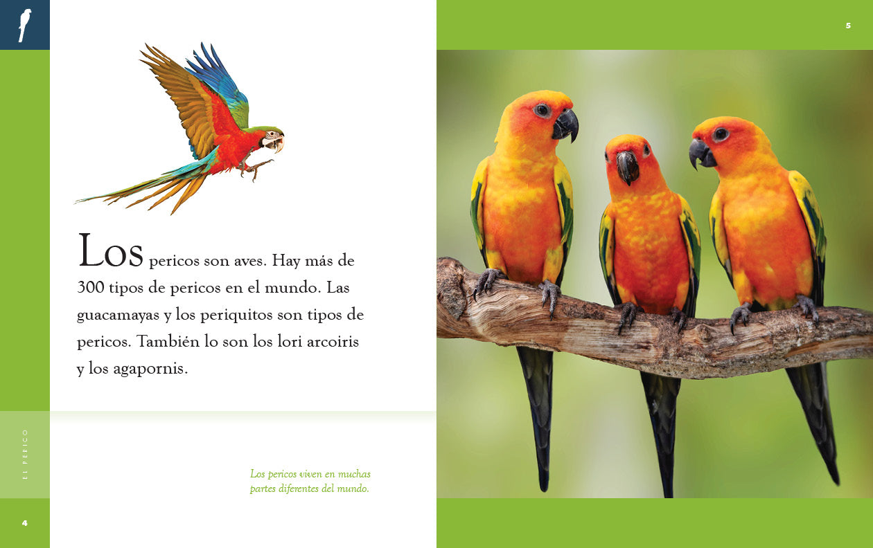 El Perico 9781640266773 - Authentic Latin American Parrot Book for Kids | Perfect for Bilingual Education & Cultural Learning at Home or School