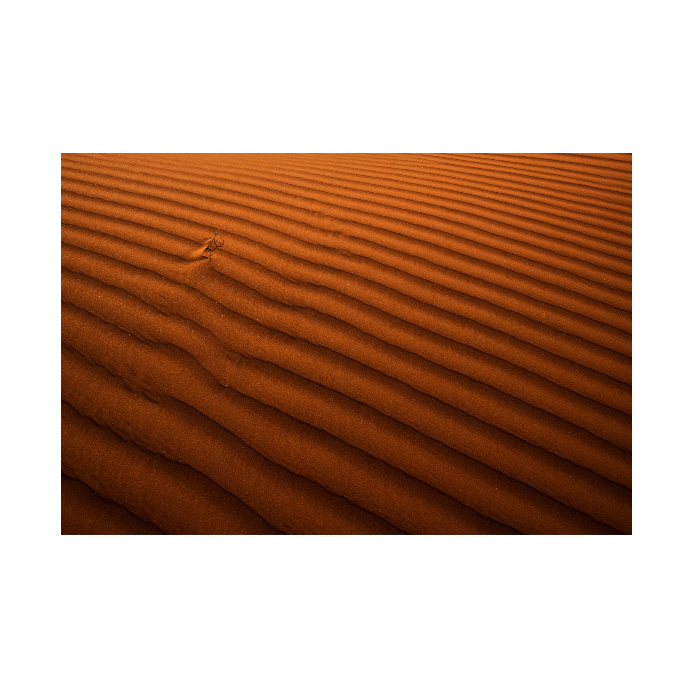 Trademark Fine Art 'Golden Lines' Canvas Art by Ibrahim Nabeel - Modern Abstract Wall Decor for Living Room, Bedroom & Office