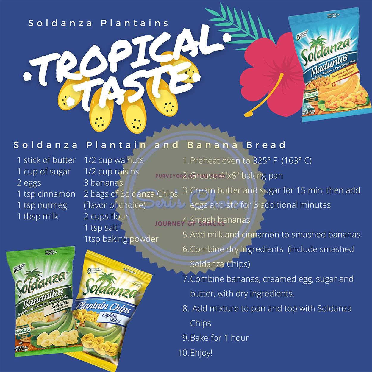 Journey of Snacks International Variety Pack - 6 Pack of 2.5oz Plantain Chips (3 Flavor Mix) | Gluten-Free Crispy Snacks for Parties, Travel & Healthy On-the-Go Eating