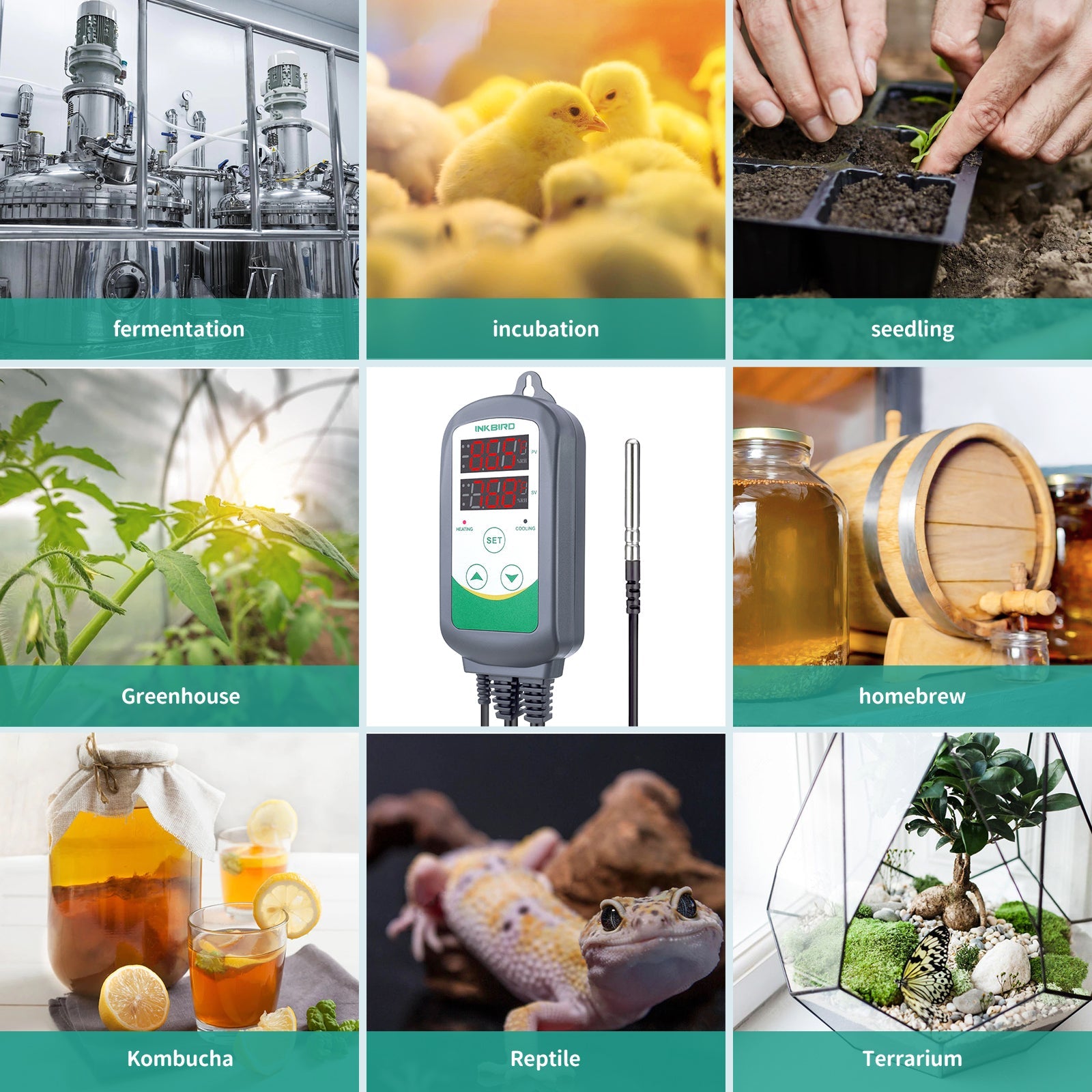 ITC-308 Digital Temperature Controller - Precise Thermostat for Homebrew, Aquariums & Reptile Tanks | Home Brewing, Hydroponics & Terrarium Use