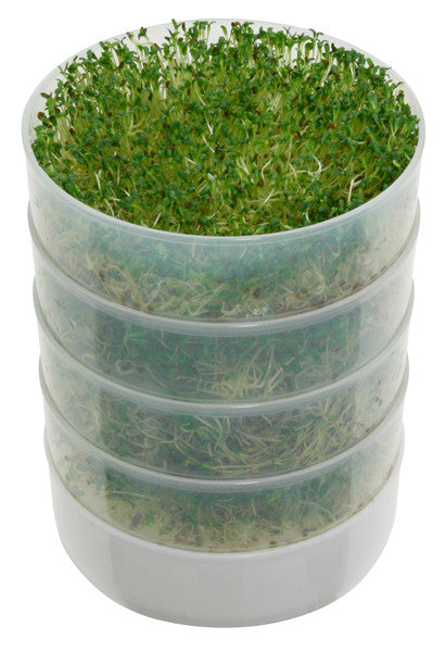 Organic Kitchen Crop Sprouter - Stainless Steel Seed Germination Tray for Healthy Microgreens & Sprouts | Perfect for Indoor Gardening, Hydroponics & Healthy Eating