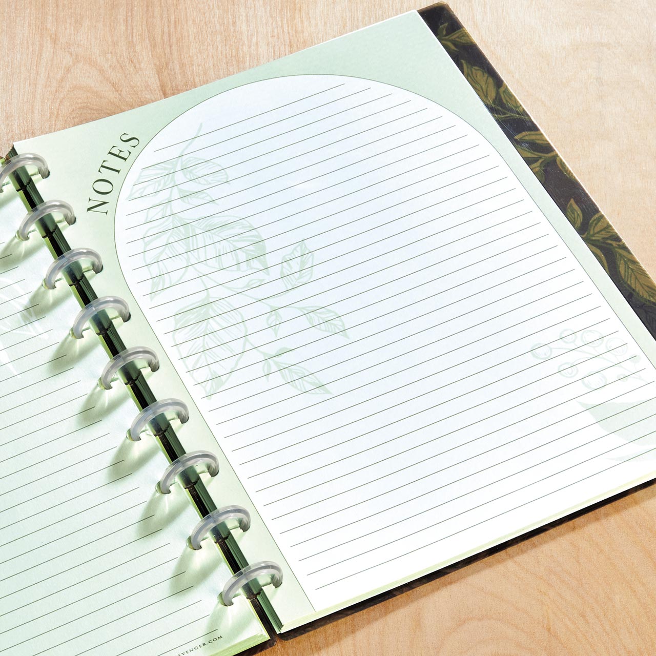 Circa Greenleaves Discbound Refill Notebook Paper - 50 Sheets, Loose Leaf Paper for Discbound Planners & Journals, Perfect for Office, School & Home Organization