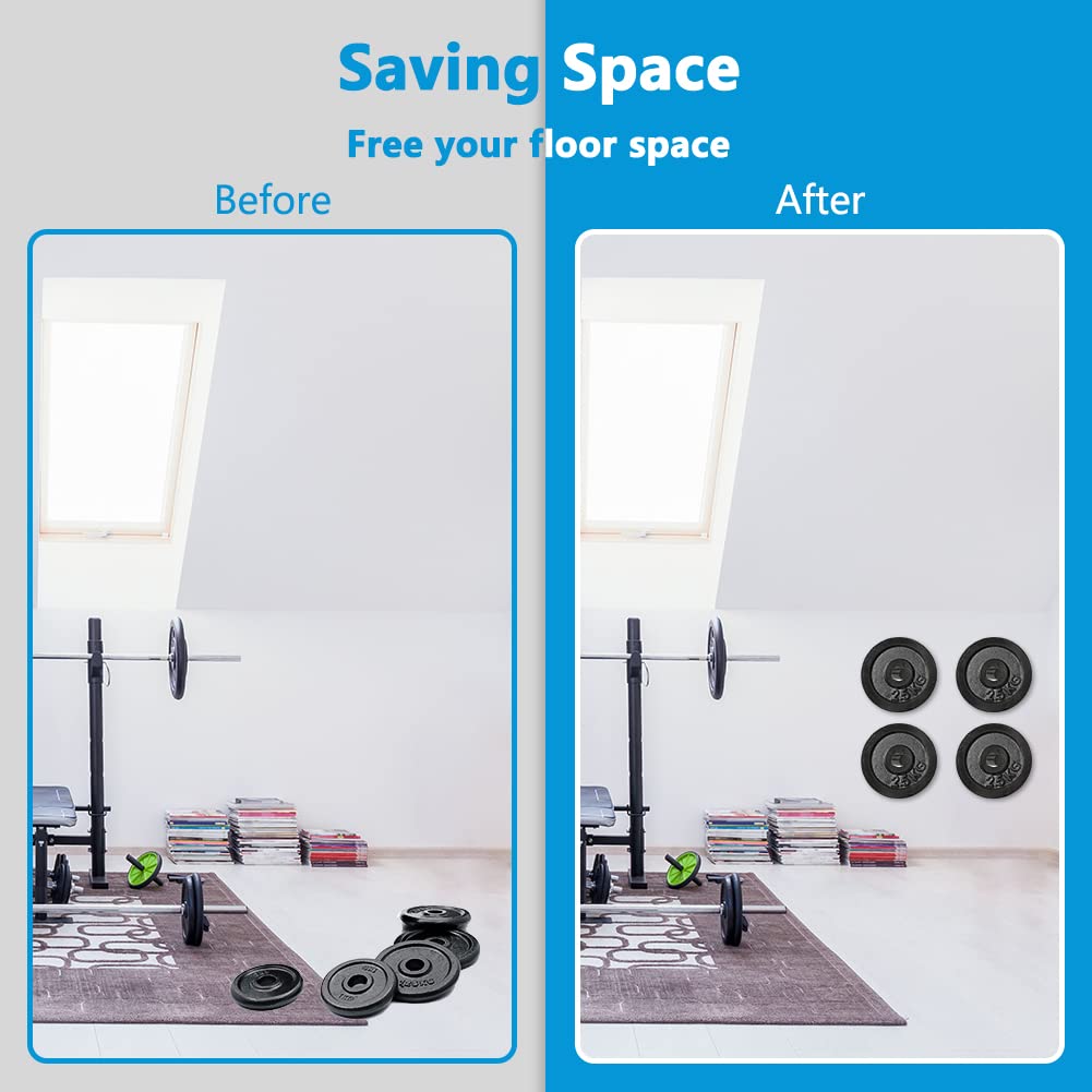 Wall Mounted Olympic Weight Plate Holder - 2