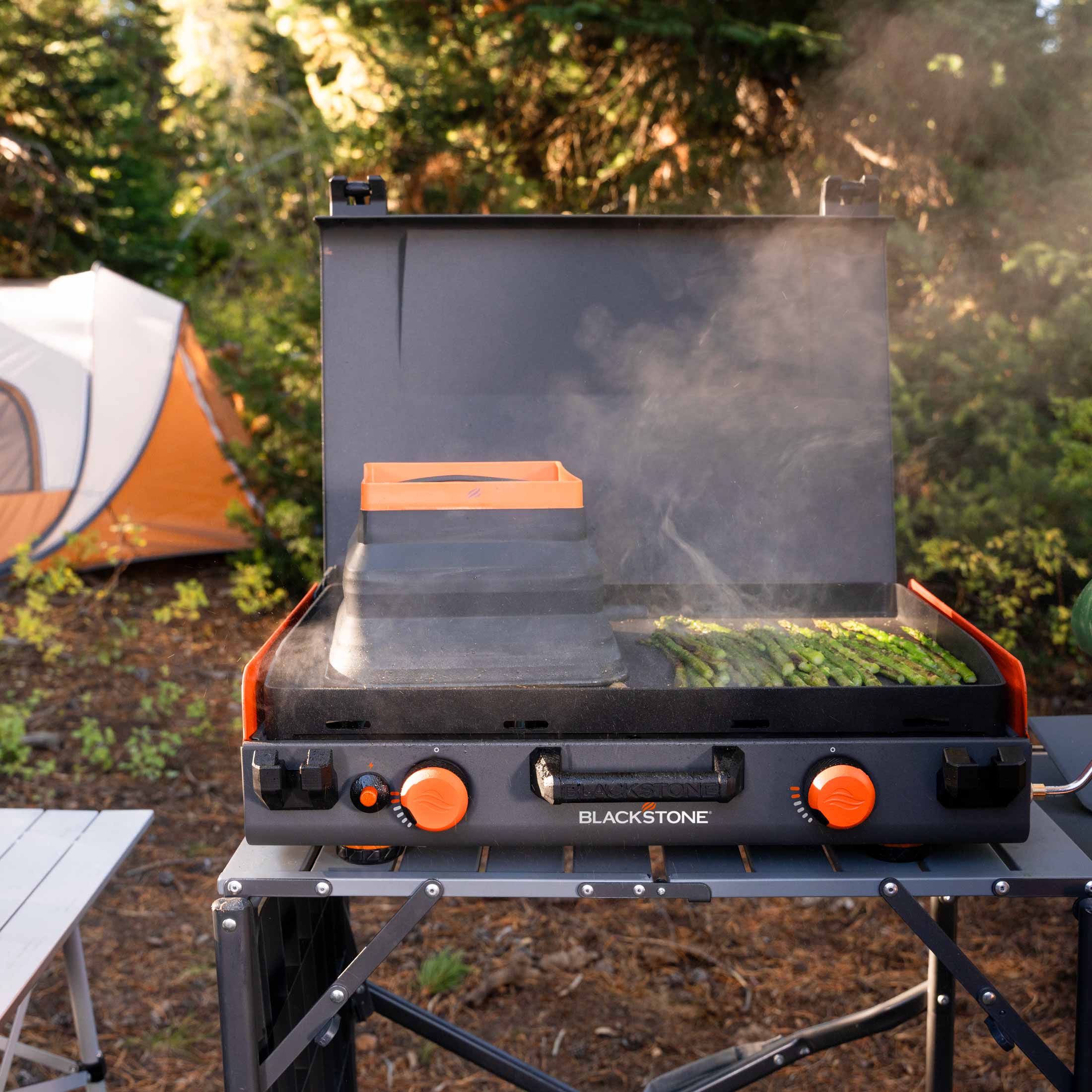 20x14 Inch Heavy Duty Camping Griddle - Non-Stick BBQ Grill Pan for Outdoor Cooking, Picnics, and Backyard Parties