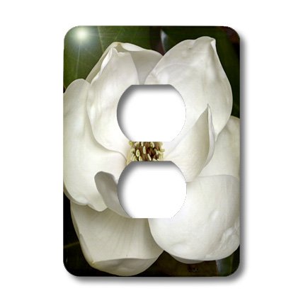 3D Rose Garden Magnolia Flower Outlet Cover - Decorative Electrical Outlet Cover Plate for Home, Bedroom, Kitchen, Bathroom - Perfect for Home Decor and Wall Protection