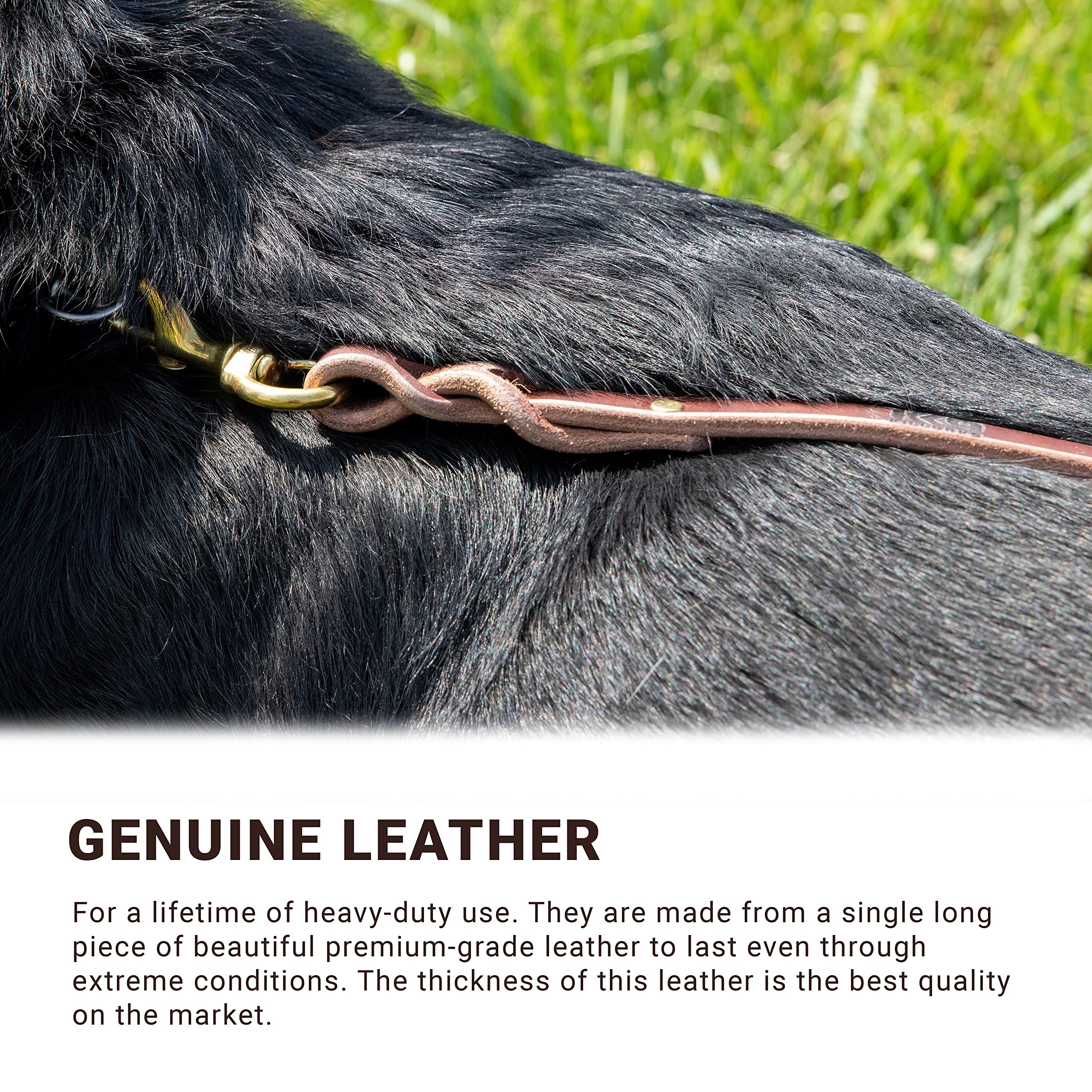 Heavy Duty Leather Dog Leash for Police & Military Training - 1/4