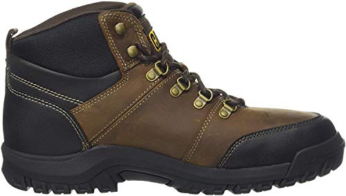 Seal Brown