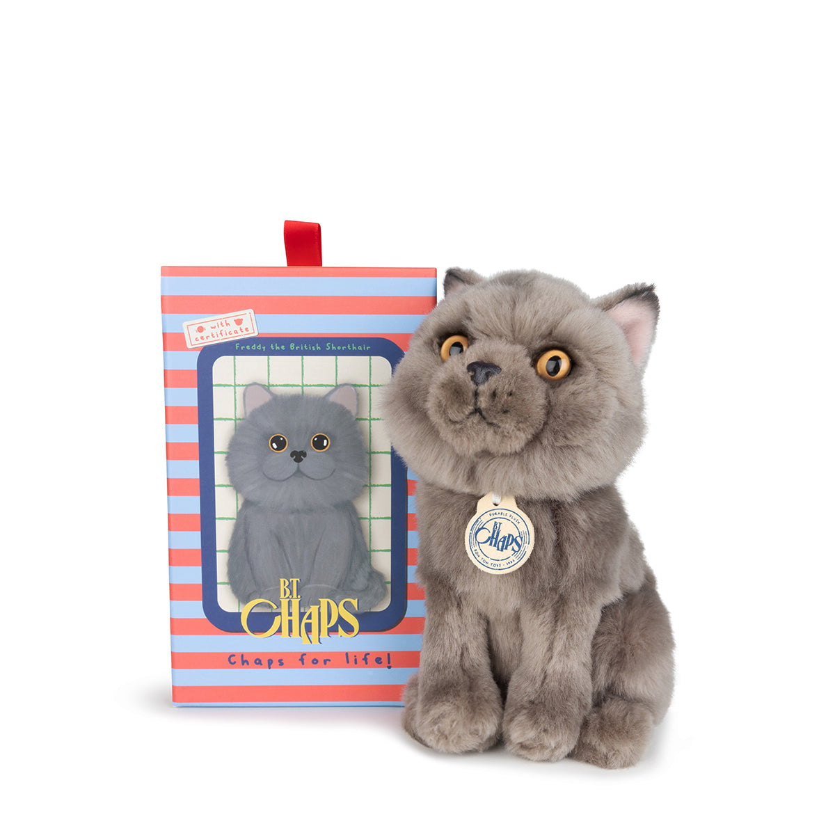 B.T. Chaps Freddy The British Shorthair Floppy Plush Toy in Gift Box - 17cm (6.5 inches) - Perfect for Cat Lovers, Birthday Gifts & Home Decor