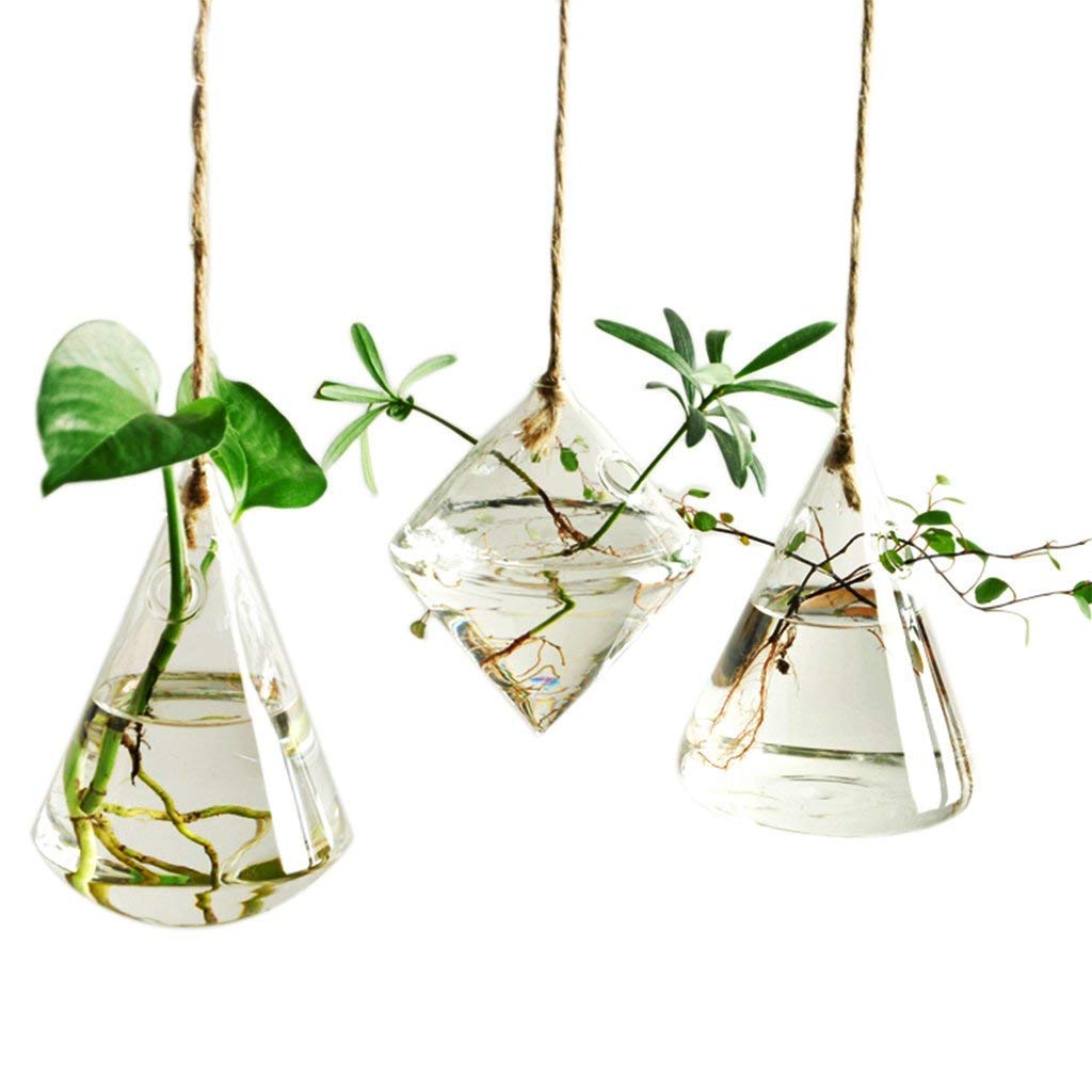 3-Piece Glass Propagation Station Wall Hanging Planters - Indoor Hydroponic Wall Vases for Plants, Flowers & Terrariums | Perfect for Home Decor, Office Greenery & Gift Giving