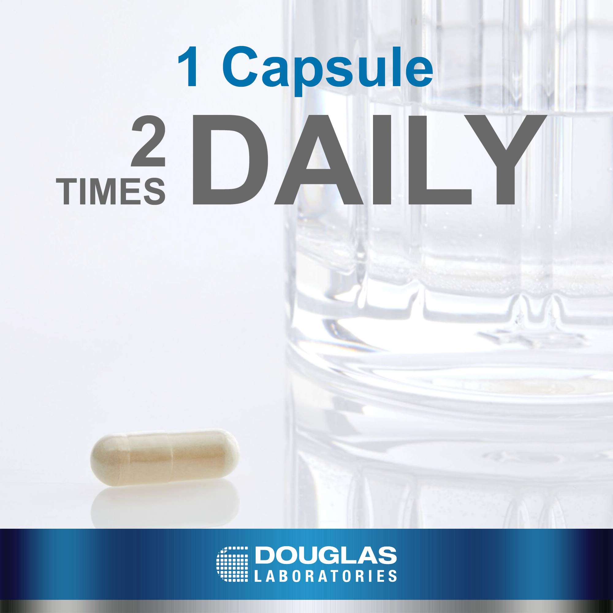 Douglas Laboratories Milk Thistle Max-V | Standardized 80% Silymarin Extract for Liver Detox & Support | 60 Vegetarian Capsules | Supports Healthy Liver Function, Antioxidant Protection & Digestive Health | Ideal for Daily Wellness, Post-Alcohol Recovery & Heavy Metal Detoxification