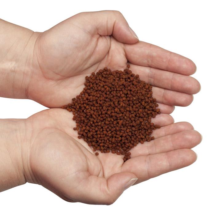 Premium DiscusFish Food - Artemia 50% XL Soft Granulate (150g) | High Protein Tropical Fish Food for Discus, Angelfish & Cichlids | Perfect for Daily Feeding & Growth Enhancement