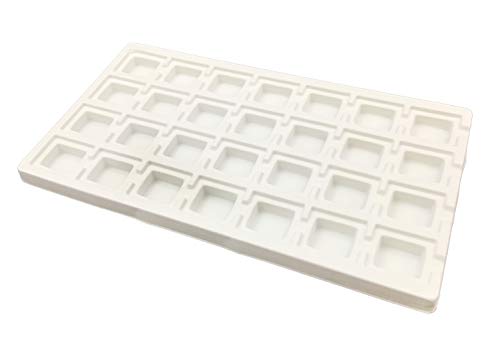 Ivory-tusk White