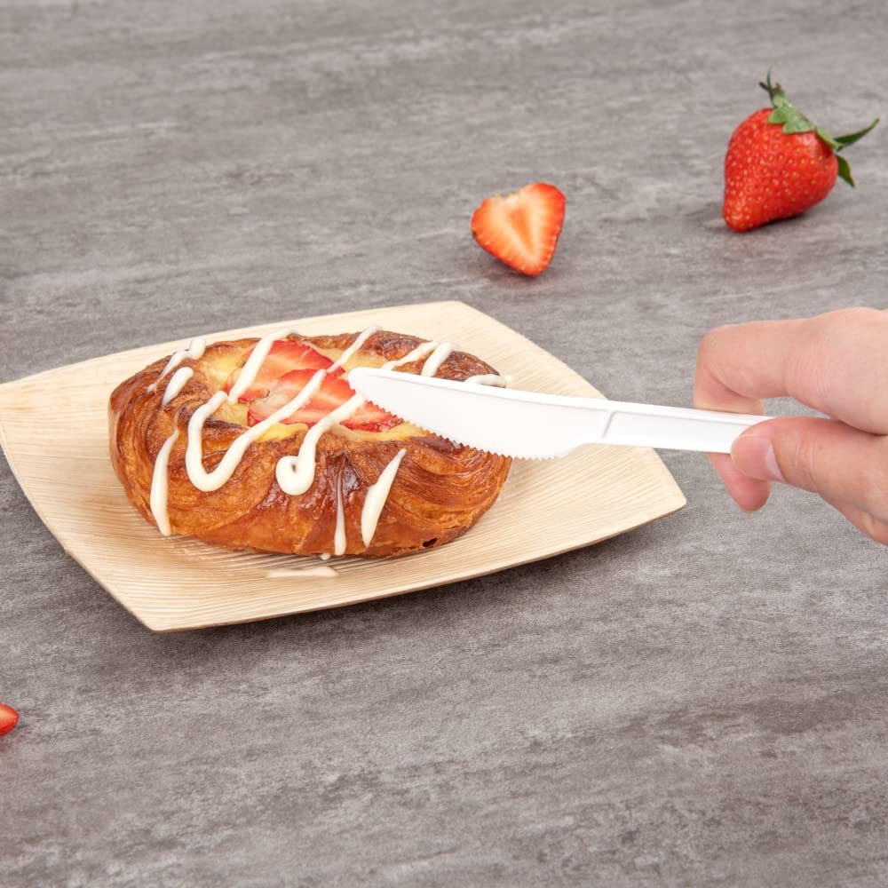 6.5 Inch Compostable Knives - 250 Individually Wrapped Plant-Based Cutlery Set | BPI-Certified CPLA Disposable Silverware for Hot & Cold Foods | Eco-Friendly Restaurantware for Parties, Picnics & Catering