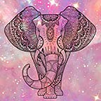 Cosmic Elephant