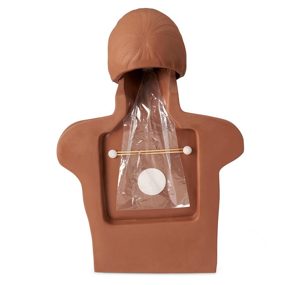 Econo VTA CPR Training Manikin - Dark Skin Tone for Realistic First Aid & Emergency Response Practice | Perfect for CPR Classes, Medical Training & Home Safety