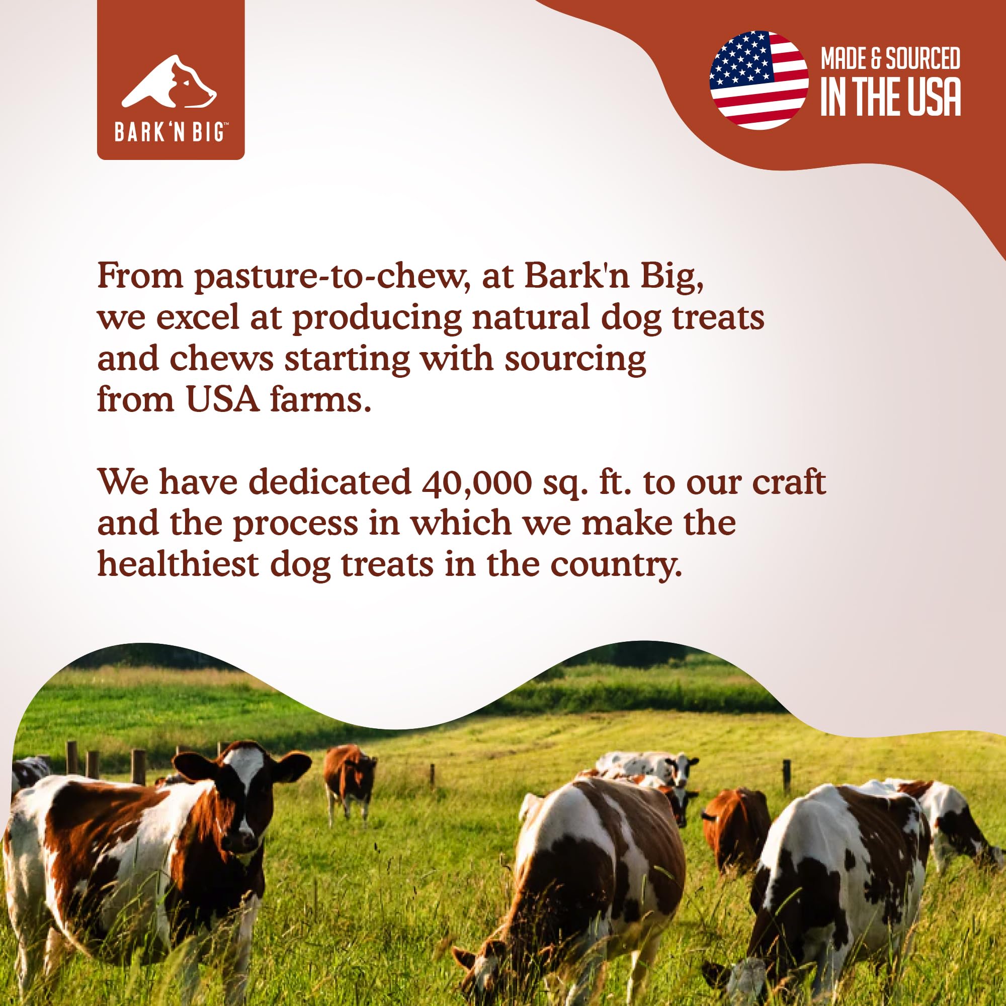 BARK'N BIG Bison Lung Dog Treats - Single Ingredient, High Protein, Low Fat, USA Made & Sourced - Dehydrated Bison Snacks for Sensitive Stomachs - 5 oz - Perfect for Training, Rewards & Digestive Health
