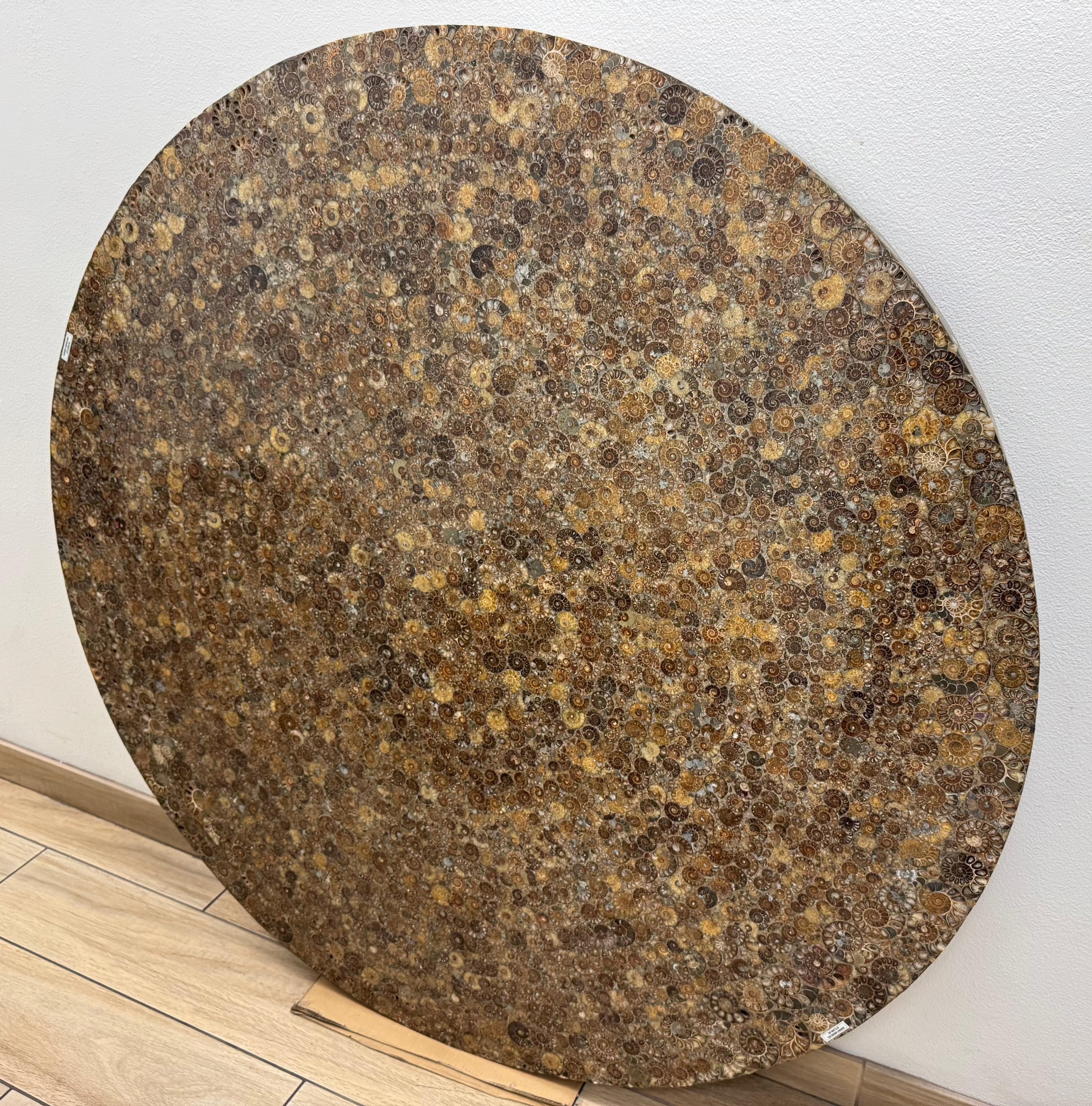 Natural Ammonite Fossil Coffee Table from Madagascar - 59