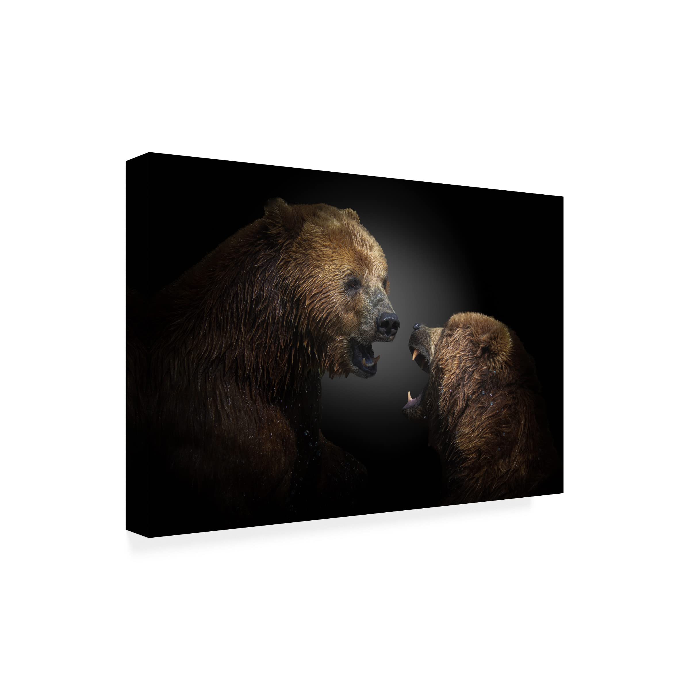 Trademark Fine Art 'Fight' Canvas Wall Art Print by Jorg Vollrath - Modern Abstract Painting for Living Room, Bedroom & Office Decor