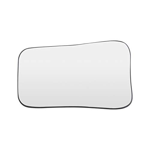 HEALLILY Dental Intraoral Mirror - Stainless Steel Mouth Inspection Reflector for Dentists & Dental Clinics | Perfect for Oral Exams, Teeth Cleaning & Dental Procedures