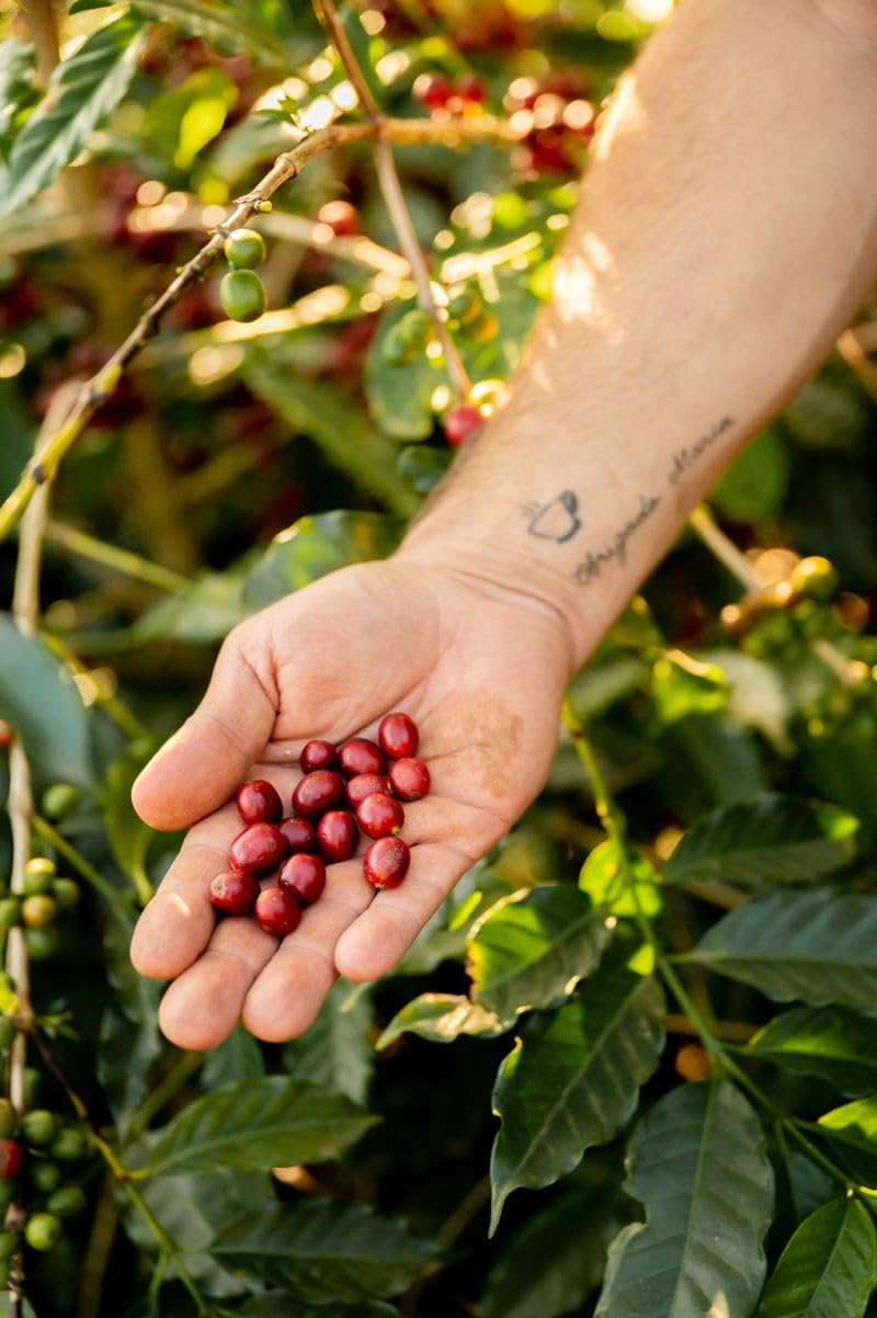Benedito Espresso Dark Roast Ground Coffee - Single Origin Brazilian Coffee - Direct Trade - Family-Owned Farm to Cup - 12oz Bag - Perfect for Home Brewing, Office & Gifts