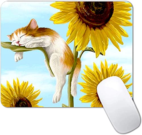 Cats And Sunflowers