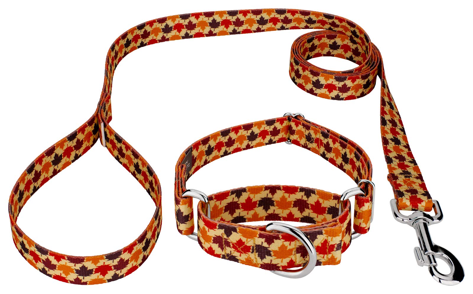 Country Brook Petz - Nature Walk Martingale Dog Collar and Leash Set - Autumn Collection with Stylish Patterns (5/8 Inch, Small) - Perfect for Daily Walks, Training & Outdoor Adventures