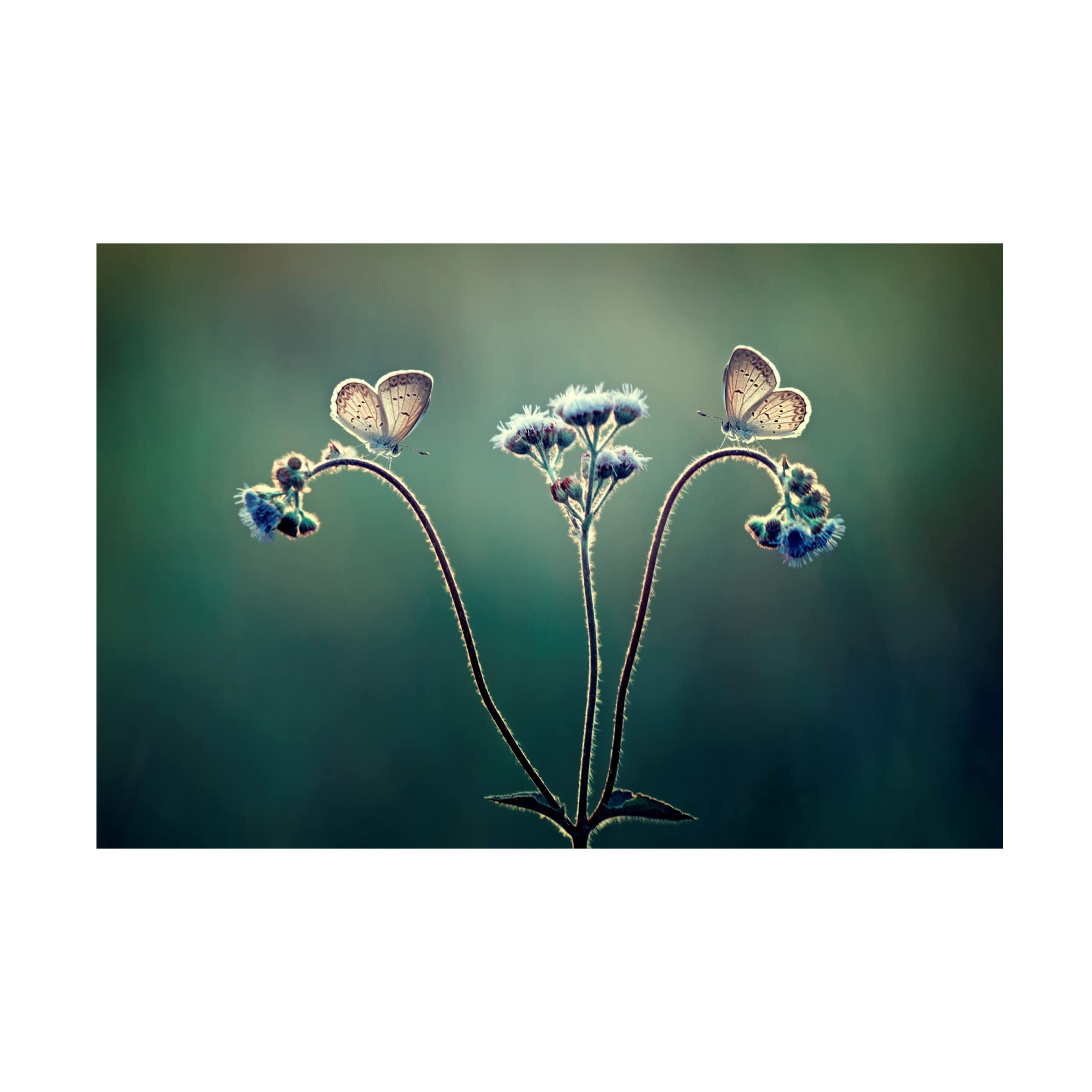 Trademark Fine Art 'Keindahan Pagi' Canvas Wall Art by Adi Isna Maulana - Stunning Indonesian Landscape Painting for Living Room, Bedroom & Office Decor