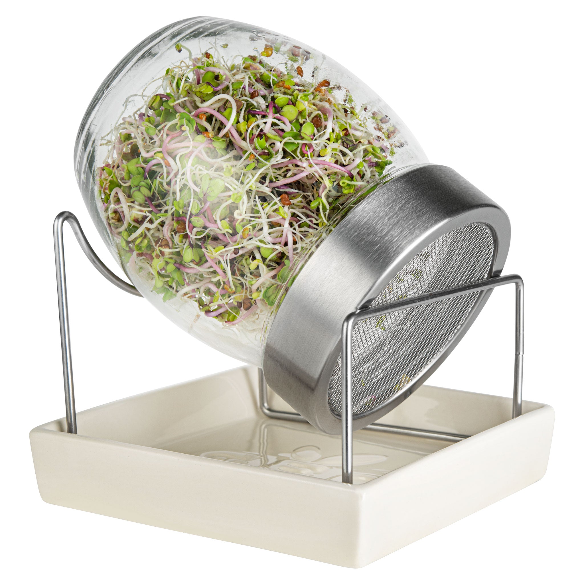 Organic Sprouting Jar Kit with Stainless Steel Mesh Lid & Ceramic Tray - Perfect for Homegrown Alfalfa, Broccoli & Bean Sprouts | Indoor Gardening & Healthy Eating