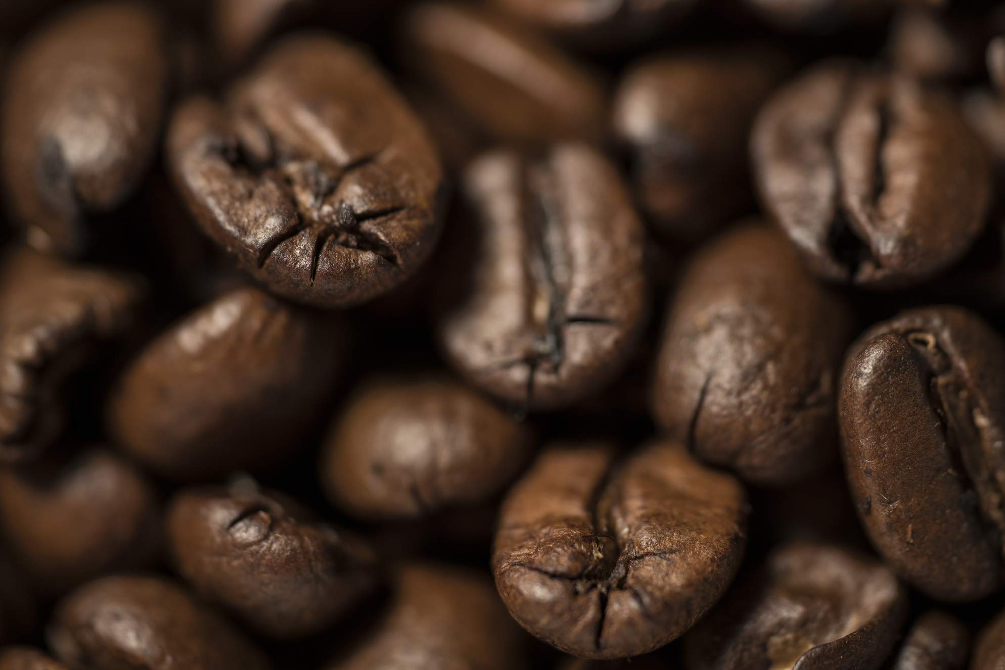 Premium Medium Dark Roast Whole Bean Coffee - 2lb Bag for Home Brewing